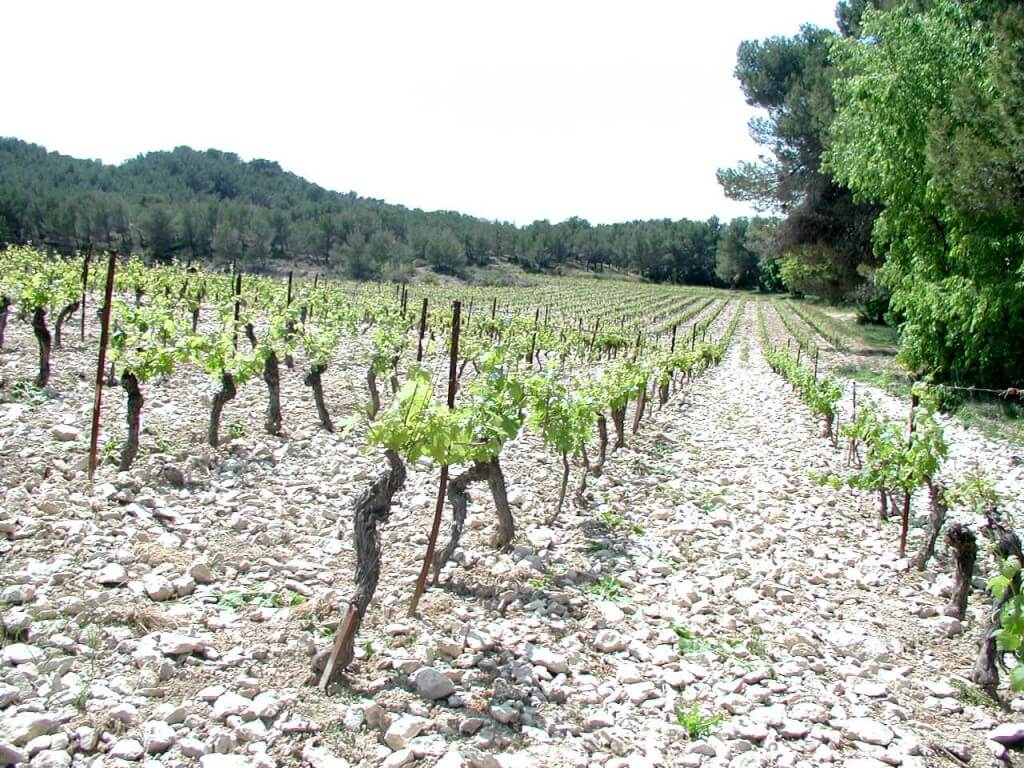 Sur les traces du domaine de Trévallon