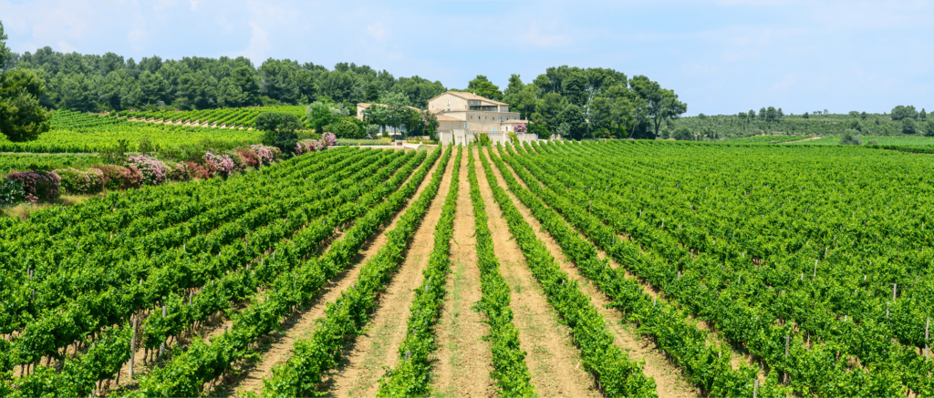 Languedoc Roussillon