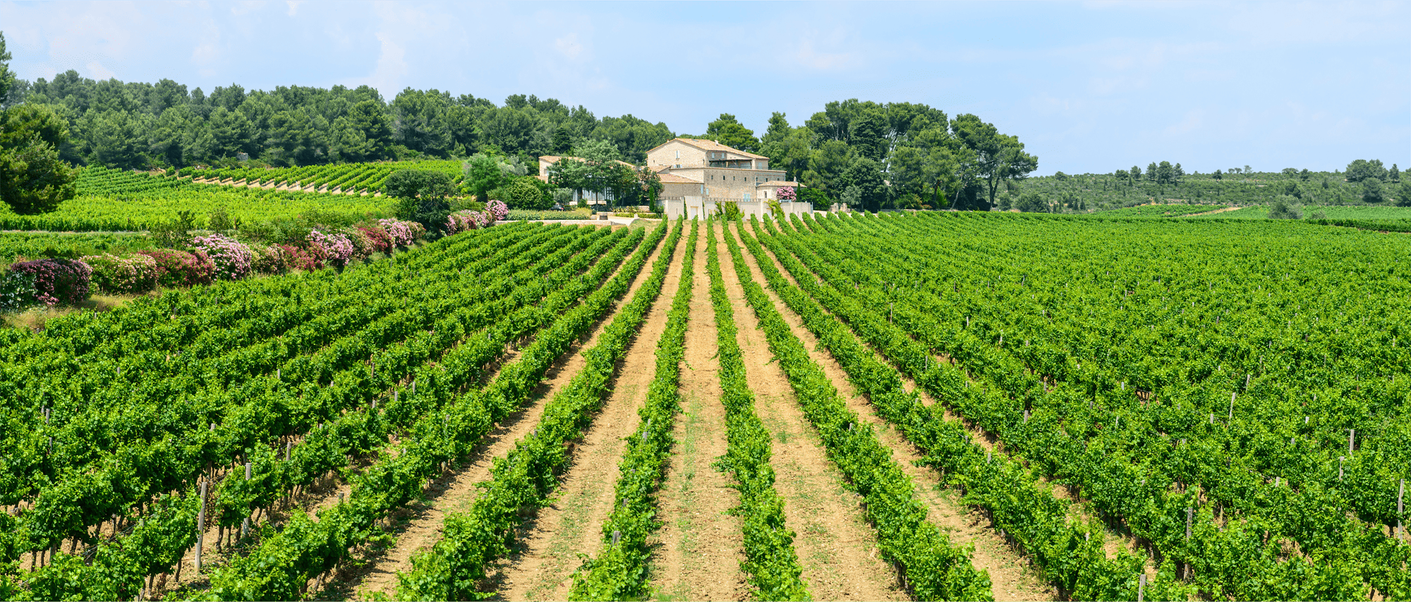 Languedoc Roussillon