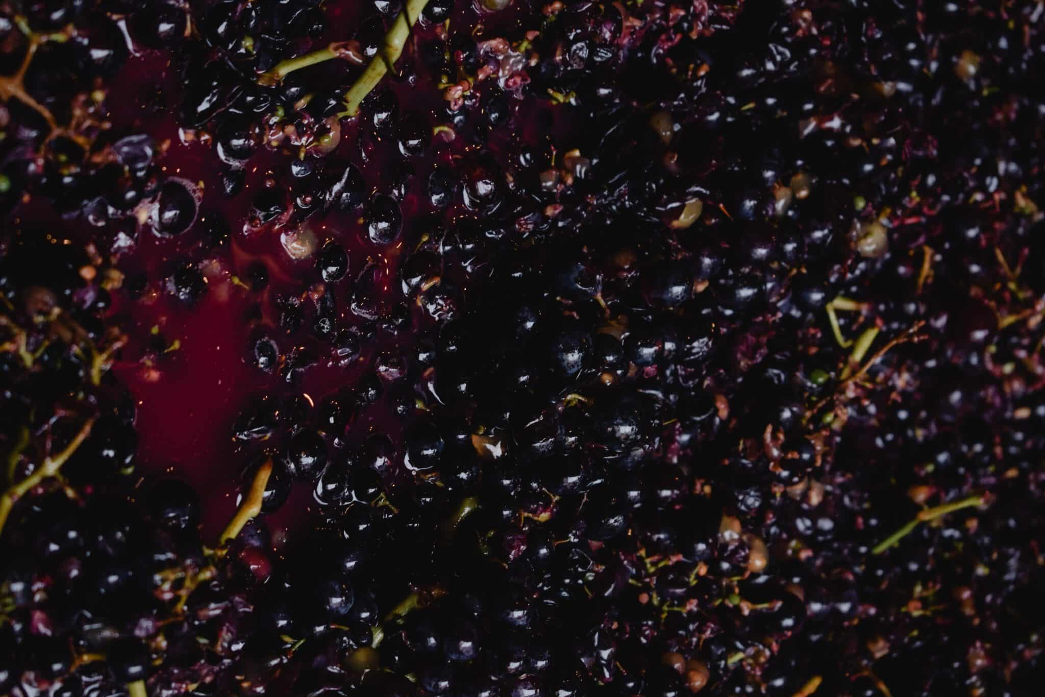 raisins rouges pressés