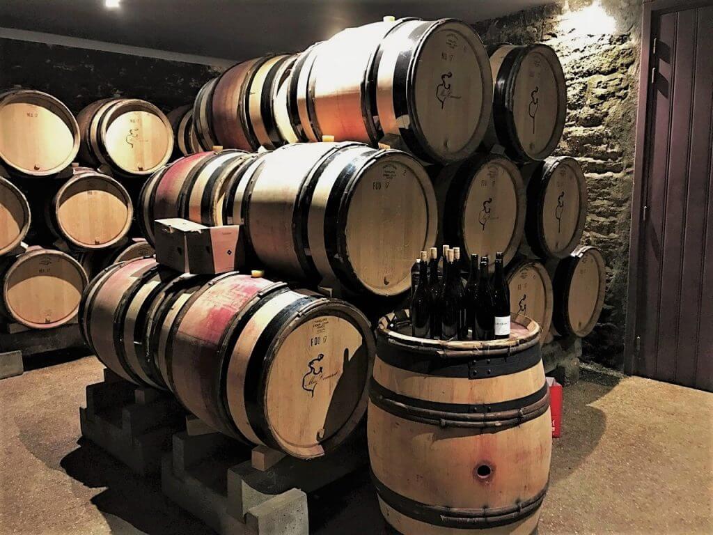 Méo-Camuzet-vins