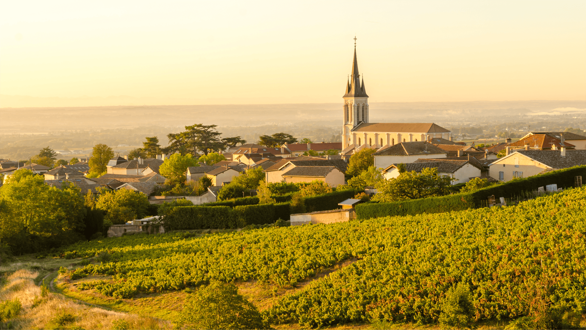 Beaujolais