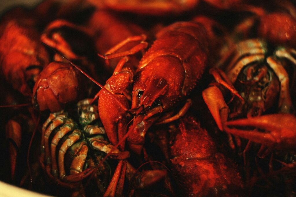 Langoustines