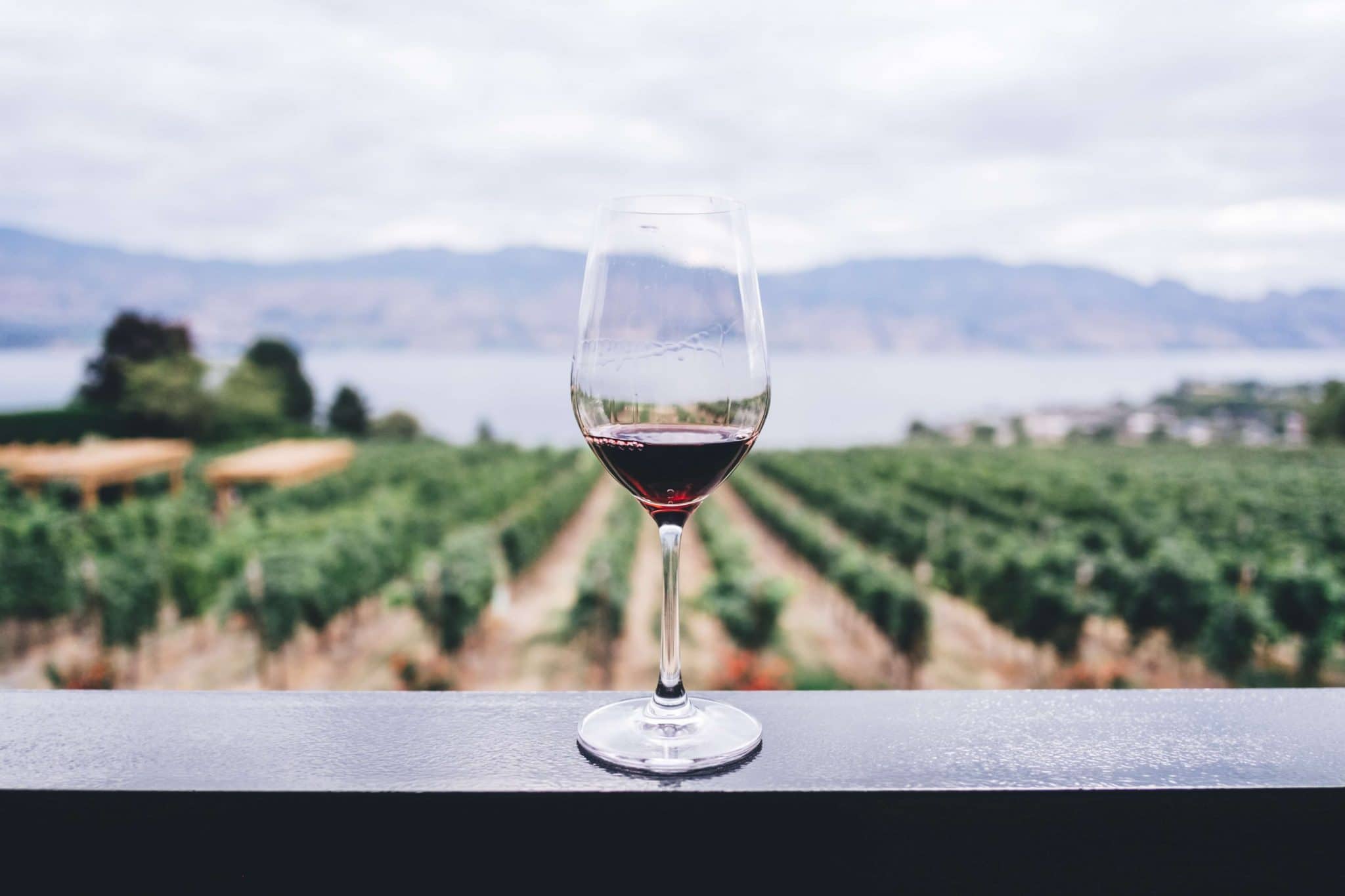 vin rouge