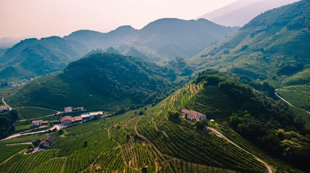 Paysage viticole italien