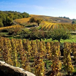 Domaine des entrefaux