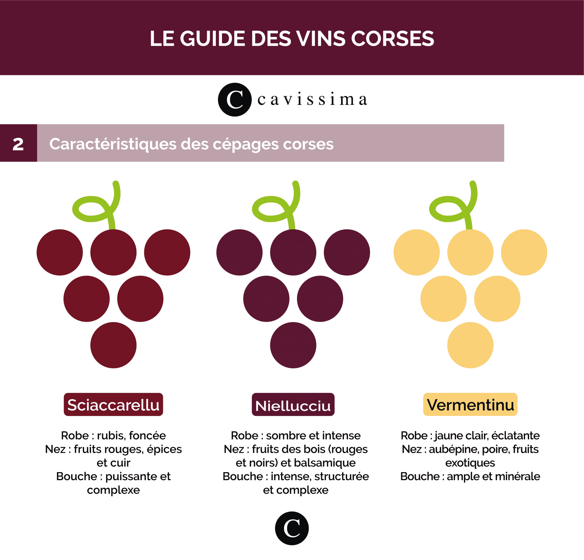 infographie-cepages-corses
