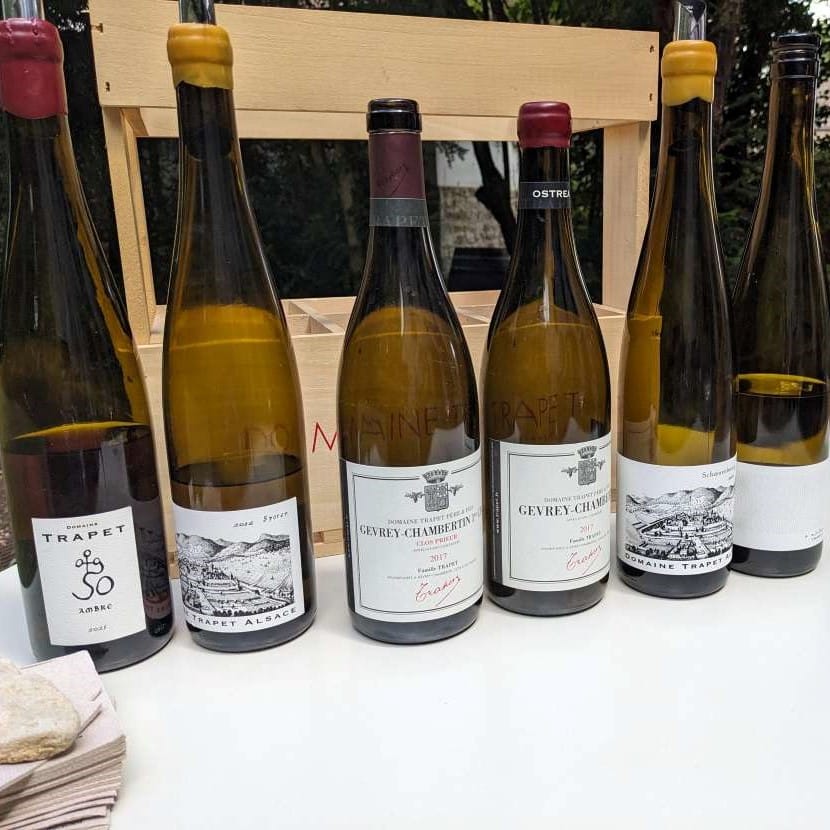 Domaine Trapet vins