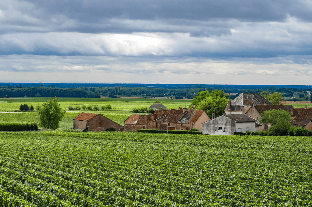 Domaine Trapet