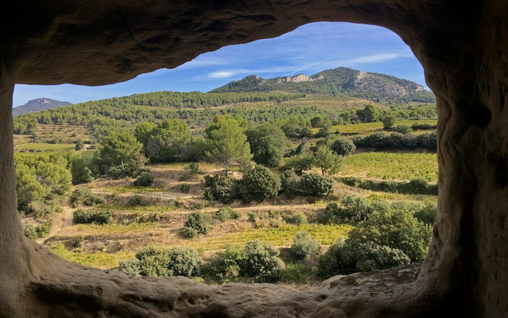 Rhône méridional